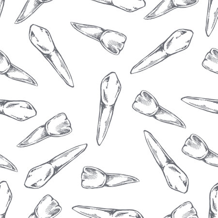 Hand-drawn vector seamless pattern of teeth. Teeth sketch. different types of human teeth. dental care.のイラスト素材