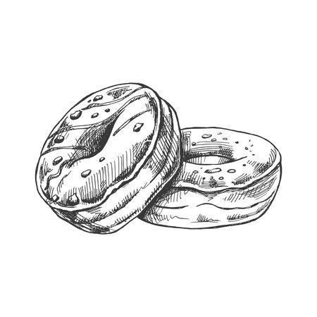 A hand-drawn sketch of donuts. Vintage illustration. Pastry sweets, dessert. Element for the design of labels, packaging and postcards.のイラスト素材