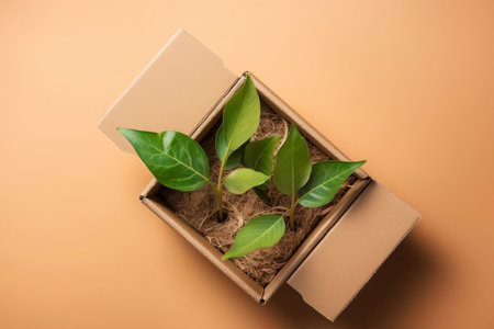 Eco concept with green leaves sprout growing in cardboard box from craft paper. Eco, zero waste, plastic free and saving energy, sustainable lifestyle, renewable energy. AI generated illustration.の素材