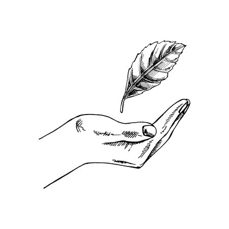 Hand-drawn black-and-white sketch of plant leaf in empty open hand. Eco, ecology care, saving the nature. Doodle vector illustration. Vintage.のイラスト素材