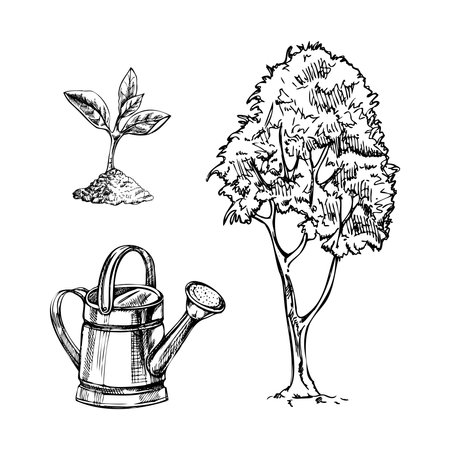 Hand-drawn sketch collection of watering can, sprout and tree. Vector illustration. Doodle gardening element. Ecology.のイラスト素材