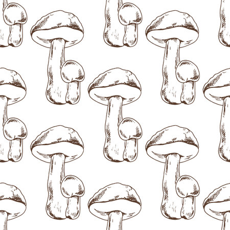Seamless pattern of hand drawn boletus mushrooms. Vintage drawing. Eco food vintage vector illustration. Sketch illustration for print, web, mobile and infographics.のイラスト素材