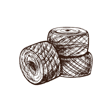 Hand drawn sketch of balls of threads. Handmade, knitting equipment concept in vintage doodle style. Engraving style.のイラスト素材