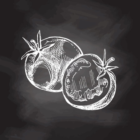 Hand-drawn tomatoes illustration in sketch style. Vector vegetables on chalkboard background. Vintage doodle illustration. Sketch for cafe menus and labels. The engraved image. Harvesting.のイラスト素材