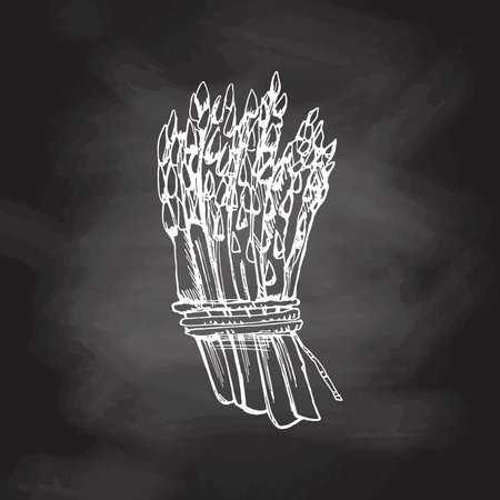 Hand-drawn asparagus illustration in sketch style. Vector vegetables on chalkboard background. Vintage doodle illustration. Sketch for cafe menus and labels. The engraved image. Harvesting.のイラスト素材
