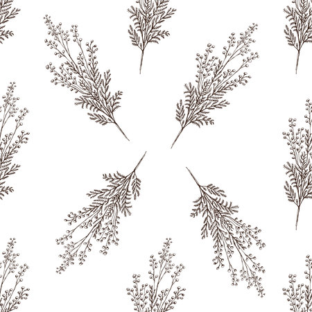 Seamless pattern of hand drawn mimosa. Monochrome flower doodle. Black and white vintage element. Vector sketch. Detailed retro style.のイラスト素材