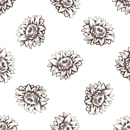 Seamless pattern of hand drawn sunflower. Monochrome flower doodle. Black and white vintage element. Vector sketch. Detailed retro style.のイラスト素材