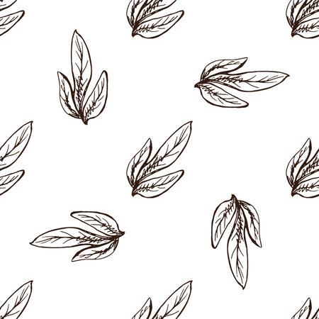 Seamless pattern of hand drawn flower leaf. Monochrome flower doodle. Black and white vintage element. Vector sketch. Detailed retro style.のイラスト素材