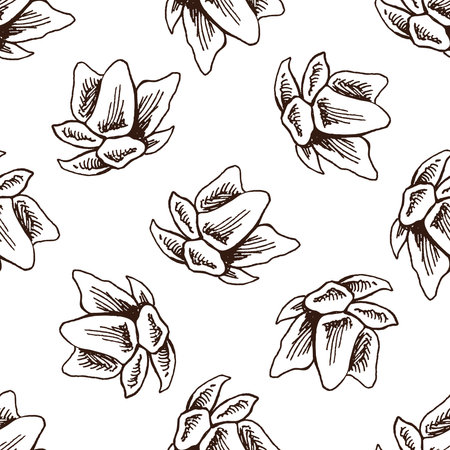 Seamless pattern of hand drawn magnolia. Monochrome flower doodle. Black and white vintage element. Vector sketch. Detailed retro style.のイラスト素材