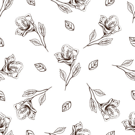 Seamless pattern of hand drawn hibiscus. Monochrome flower doodle. Black and white vintage element. Vector sketch. Detailed retro style.のイラスト素材