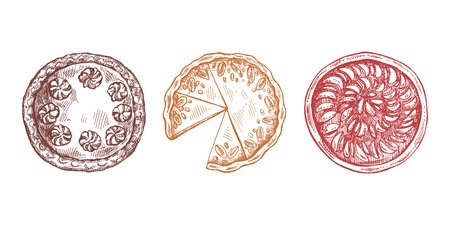 Hand-drawn vintage set of traditional cakes and pies sketch. Sweet bakery, fruit, berries, pumpkin. Top view. Vector collection of ink baking illustration. Food for Thanksgiving, Christmas.のイラスト素材