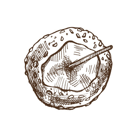 Hand-drawn sketch of Candy Taffy apples with nut sprinkles. Vector food drawing. Traditional Christmas, Halloween dessert. Illustration for packaging, label. Vintage holiday design.のイラスト素材