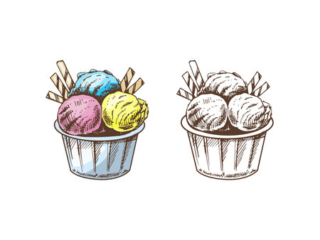 A hand-drawn colored and monochrome sketch of an ice cream balls in a bowl. Vintage illustration. Element for the design of labels, packaging and postcards.のイラスト素材