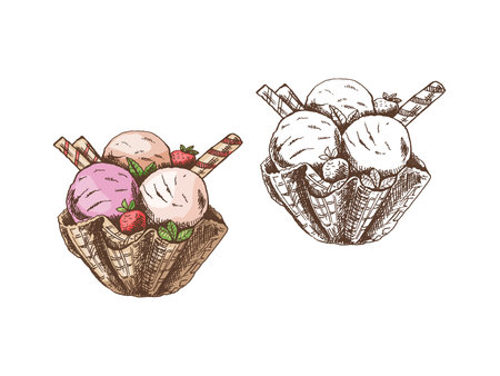 A hand-drawn colored and monochrome sketch of ice cream balls in a waffle basket.Vintage illustration. Element for the design of labels, packaging and postcards.のイラスト素材