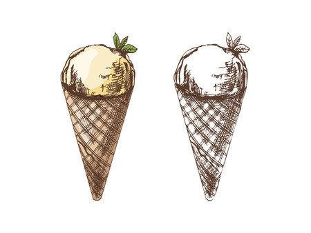 Hand-drawn colored and monochrome sketch set of waffle cones with frozen yogurt or ice cream with mint leaves. Vintage illustration. Element for labels, packaging and postcards.のイラスト素材