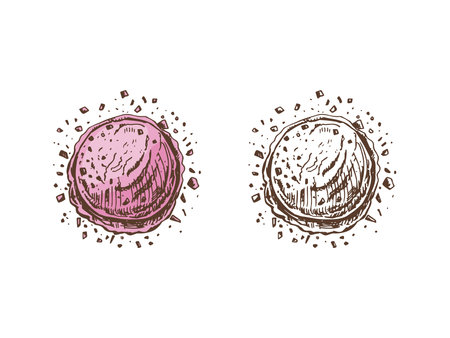 A hand-drawn colored and monochrome sketch of ice cream scoop with flakes of dark chocolate. Vintage illustration. Element for the design of labels, packaging and postcards.のイラスト素材