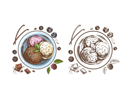 A hand-drawn colored and monochrome sketch of an ice cream balls in a plate with chocolate, berries, vanilla pods. Top view. Vintage illustration. Element for the design of labels, packaging.のイラスト素材