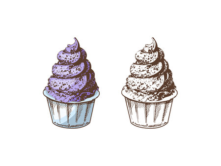 A hand-drawn colored and monochrome sketch of frozen yogurt or soft ice cream, cupcake in a cup. Vintage illustration. Element for the design of labels, packaging and postcards.のイラスト素材