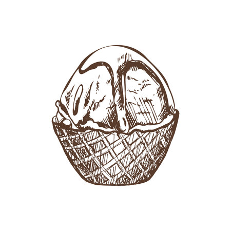 A hand-drawn sketch of a waffle basket with frozen yogurt or ice cream with chocolate sauce on top. Vintage illustration. Element for the design of labels, packaging and postcards.のイラスト素材