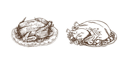 Hand-drawn sketch set of baked turkeys, chickens with rosemary, berries and lemon. Vector food drawing. Traditional Christmas, Halloween food. Illustration for packaging, label, recipe, menu.のイラスト素材