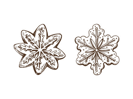Hand-drawn sketch set of Christmas gingersnap, traditional ginger cookies in star shape decorated with sugar icing. Winter holiday homemade treat. Vector food drawing. Traditional Christmas dessert.のイラスト素材