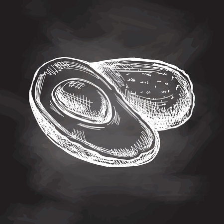 Hand-drawn avocados sketch on chalkboard background. Vintage drawing of ripe avocado and avocado half. Vector black ink outline food. Mexican food. An illustration for the menu. Latin America.のイラスト素材