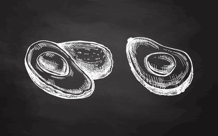 Hand-drawn avocado sketches set om chalkboard background. Vintage drawing of ripe avocados. Vector ink food illustration. Mexican food, cuisine, Latin America. Illustration for menu.のイラスト素材