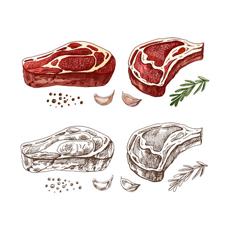 Organic food. Hand drawn colored vector sketch of beef steak, piece of meat with rosemary, garlic and peppercorns. Vintage illustration. Decorations for the menu. Engraved image.のイラスト素材