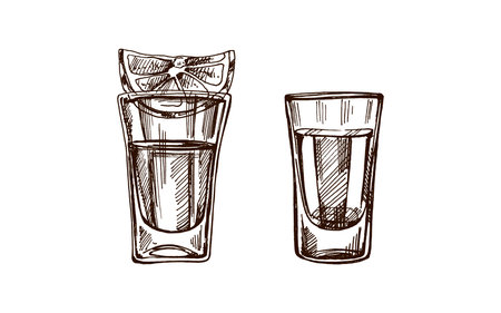 Hand-drawn shot glasses with tequila with a slice of lime. Design element for the menu of bars and restaurants, alcohol stores. Vector sketch illustration in engraving style. Mexican, Latin America.のイラスト素材