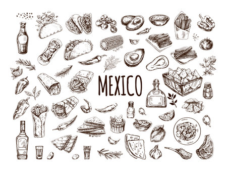 Hand-drawn set of realistic Mexican dishes and products. Vintage sketch drawings of Latin American cuisine. Vector ink illustration. Mexican culture. Latin America.のイラスト素材