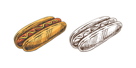 Hand-drawn colored and monochrome sketches of hot dogs isolated on white background. Fast food illustration. Vintage drawing. Great for menu, poster or restaurant background.のイラスト素材