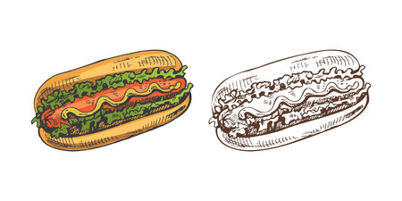 Hand-drawn colored and monochrome sketches of hot dogs isolated on white background. Fast food illustration. Vintage drawing. Great for menu, poster or restaurant background.のイラスト素材
