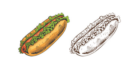 Hand-drawn colored and monochrome sketches of hot dogs isolated on white background. Fast food illustration. Vintage drawing. Great for menu, poster or restaurant background.のイラスト素材