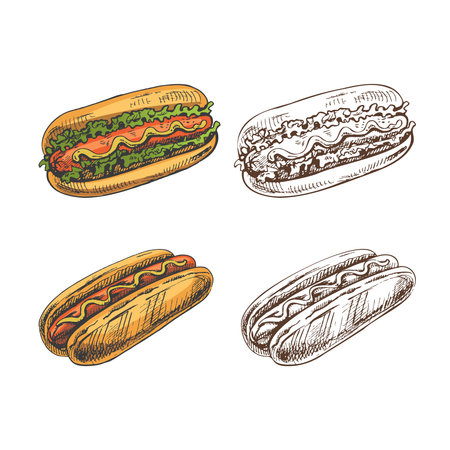 Hand-drawn colored and monochrome sketches of hot dogs isolated on white background. Fast food illustration. Vintage drawing. Great for menu, poster or restaurant background.のイラスト素材