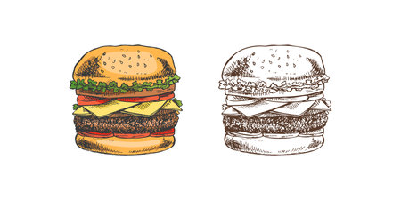 Hand-drawn colored and monochrome sketches of great delicious sandwiches, burgers, hamburgers isolated on white background. Fast food vintage illustration. Great for menu, poster or restaurant.のイラスト素材