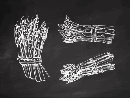 A hand-drawn set of asparagus in sketch style. Vector vegetables on chalkboard background. Vintage doodle illustration. Sketch for cafe menus and labels. The engraved image. Harvesting.のイラスト素材