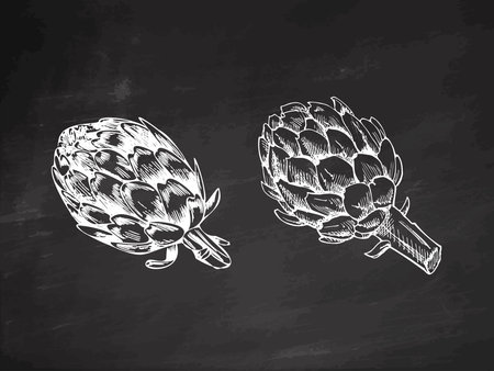 A hand-drawn set of artichokes in sketch style. Vector vegetables on chalkboard background. Vintage doodle illustration. Sketch for cafe menus and labels. The engraved image. Harvesting.のイラスト素材