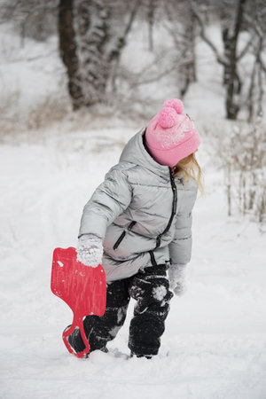 A girl in a snowy forest rides an ice slide down a slide. Photo of a child in a winter forest. Winter, winter holidays, vacations, vacations.の写真素材