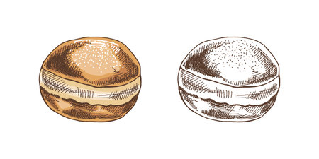 Traditional german polish donut, dusted. Vintage colored and monochrome illustration. Pastry sweets, dessert. Element for the design of labels, packaging and postcards.のイラスト素材