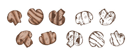 Organic food. Hand-drawn colored and monochrome vector sketches of grilled champignons. Doodle vintage illustration. Decorations for the menu of cafes. Engraved image.のイラスト素材