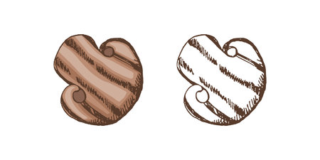 Organic food. Hand-drawn colored and monochrome vector sketch of grilled champignon. Doodle vintage illustration. Decorations for menu of cafes. Engraved image.のイラスト素材
