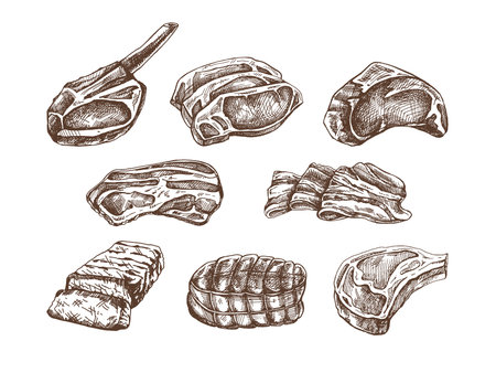 A set of hand-drawn sketches of meat pieces, beef steak, ham, pork. Fresh raw meat products. For the design of menu for restaurants, butcher shop. Vintage engraved illustration.のイラスト素材