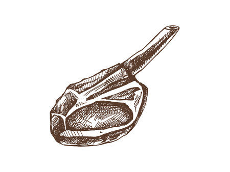 Organic food. Hand-drawn vector sketch of beef steak, piece of meat on the bone. Doodle vintage illustration. Decorations for the menu of cafes and labels. Engraved image.のイラスト素材