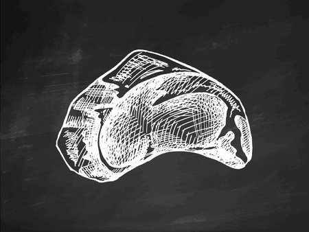 Hand-drawn vector sketch of beef steak, piece of meat on chalkboard background. Vintage illustration. Decorations for the menu of cafes and labels. Engraved.のイラスト素材