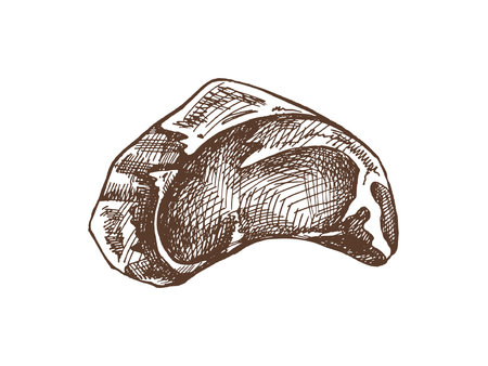 Organic food. Hand-drawn vector sketch of beef steak, piece of meat. Doodle vintage illustration. Decorations for the menu of cafes and labels. Engraved image.のイラスト素材