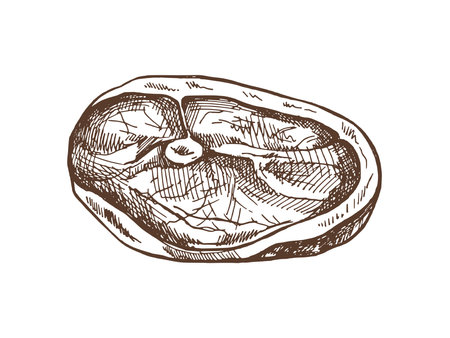 Hand-drawn sketch of meat, pork or beef steak, chop meat, a piece of meat cuts, vector illustration. Vintage illustration. Decorations for the menu of cafes. Engraved image.のイラスト素材