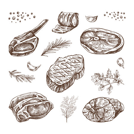 Set of hand-drawn sketches of barbecue meat pieces with herbs and seasonings. For the design of the menu of restaurants and cafes, steaks. Vintage doodle illustration. The engraved image.のイラスト素材