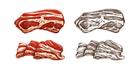 Hand-drawn colored and monochrome vector sketch set of bacon, hamon or pork meat, ham slices. Italian prosciutto vintage sketch. Butcher shop. Great for label, restaurant menu. Engraved image.のイラスト素材