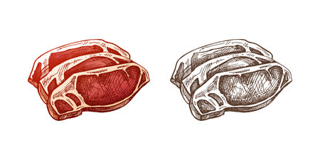 Organic food. Hand-drawn colored and monochrome vector sketch of grilled beef steak, pieces of meat. Doodle vintage illustration. Decorations for the menu of cafes and labels. Engraved image.のイラスト素材