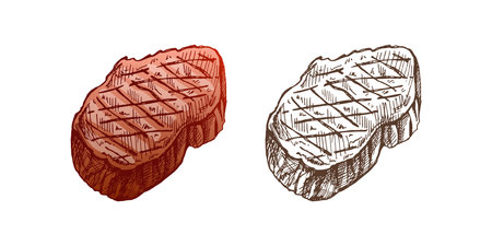 Organic food. Hand-drawn colored and monochrome vector sketch of ribeye steak, beef steak, piece of meat. Doodle vintage illustration. Decorations for the menu of cafes and labels. Engraved image.のイラスト素材